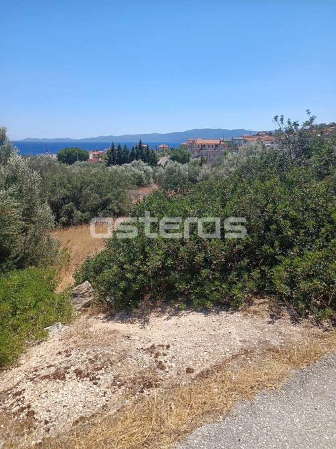 property-img