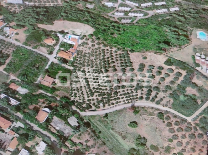 property-img